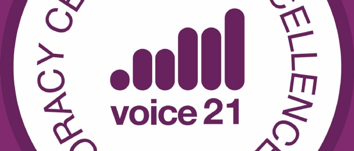 image of the voice 21 centre of excellence logo
